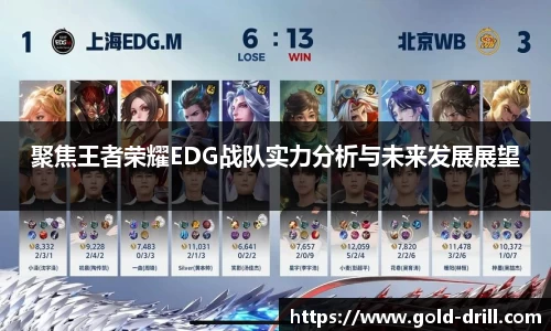 聚焦王者荣耀EDG战队实力分析与未来发展展望